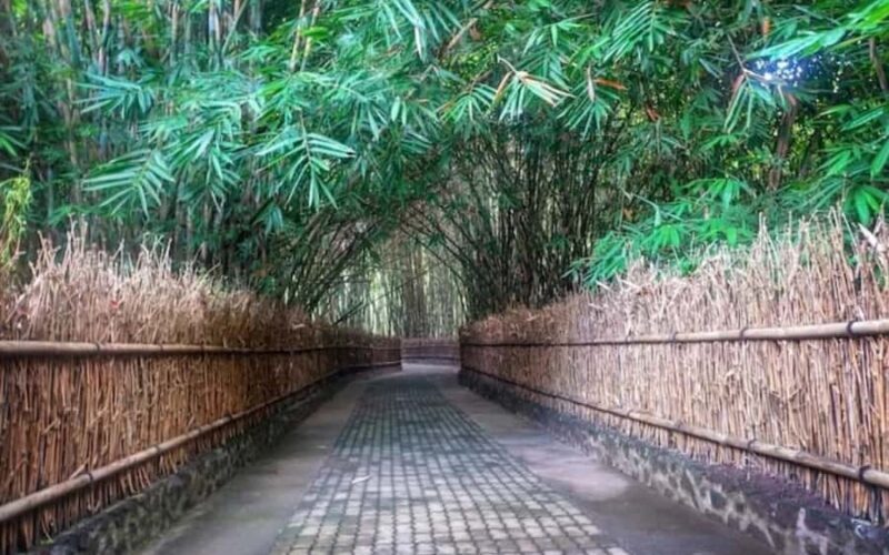 Bali: Traditional Batik & Life in Penglipuran Village - Why This Tour Offers Great Value