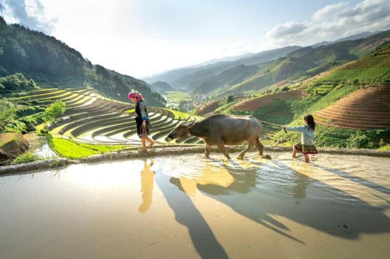 Bali: Traditional Farming Village Tour with Lunch - The Sum Up