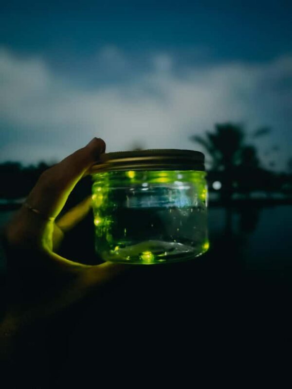 Bali Traditional Village Cooking & Magical Fireflies Tour - A Closer Look at the Tour Experience