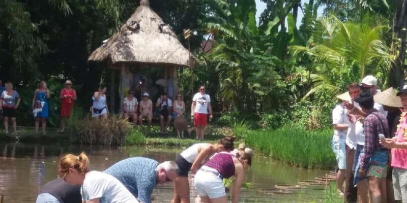 bali-traditional-village-life-tour