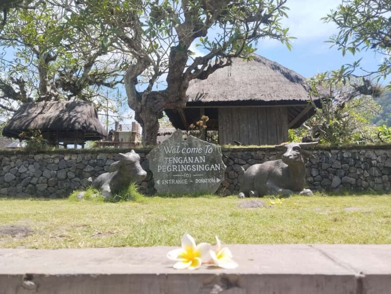 BALI TRADITIONAL VILLAGE TENGANAN/BESAKIH/KINTAMANI - Practicalities and Tips for the Tour