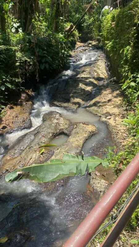 Bali Trilogy: Subak Irrigation, Waterfall & Ancient temple - Finding Peace at Sacred Water Temples