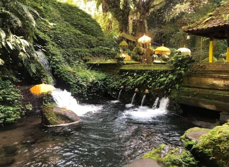 Bali Trilogy: Subak Irrigation, Waterfall & Ancient temple - Why This Tour Offers Great Value