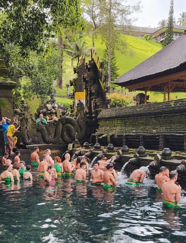 Bali: Trip to Tirta Gangga Palace and Tukad Cepung Waterfall - Who Is This Tour Best For?
