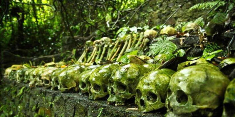 bali-trunyan-cemetery-hot-springs-and-penglipuran-village