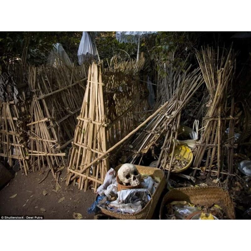 Bali: Trunyan Village & Lake Batur Sunset Boat Tour - Exploring the Bali: Trunyan Village & Lake Batur Sunset Boat Tour