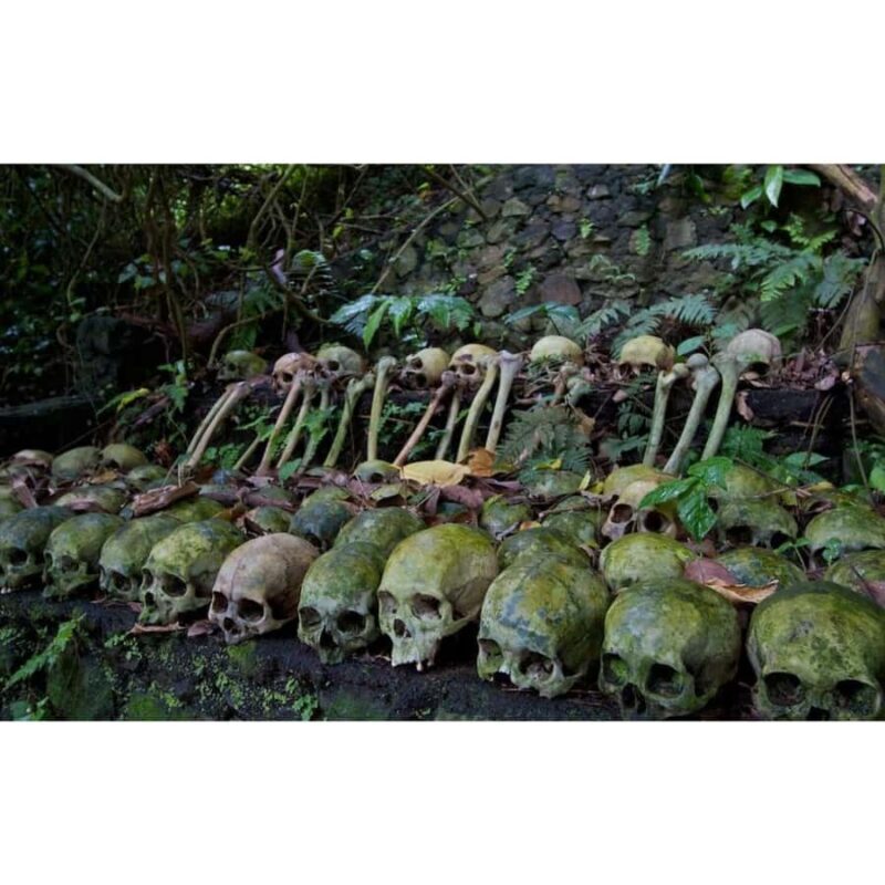 Bali: Trunyan Village & Lake Batur Sunset Boat Tour - Unpacking the Experience: What to Expect