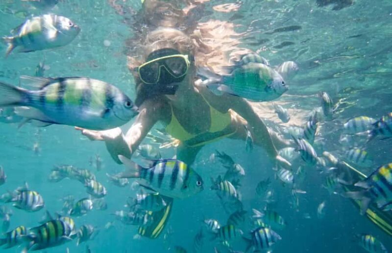 Bali Tulamben: Liberty Shipwreck Snorkeling & Kayak Day Trip - Key Points