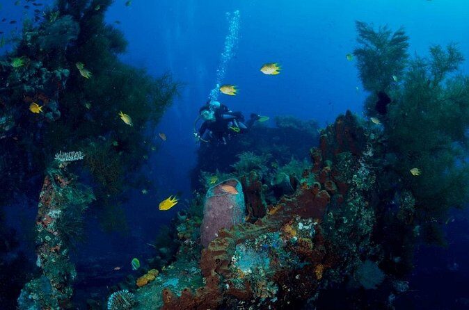 Bali: Tulamben Scuba Diving at USS Liberty Shipwreck - The Itinerary & What You Can Expect