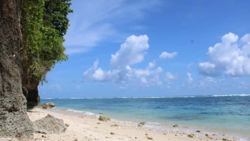 Bali: Turtle Conservation, Beach and Uluwatu Tour - FAQ