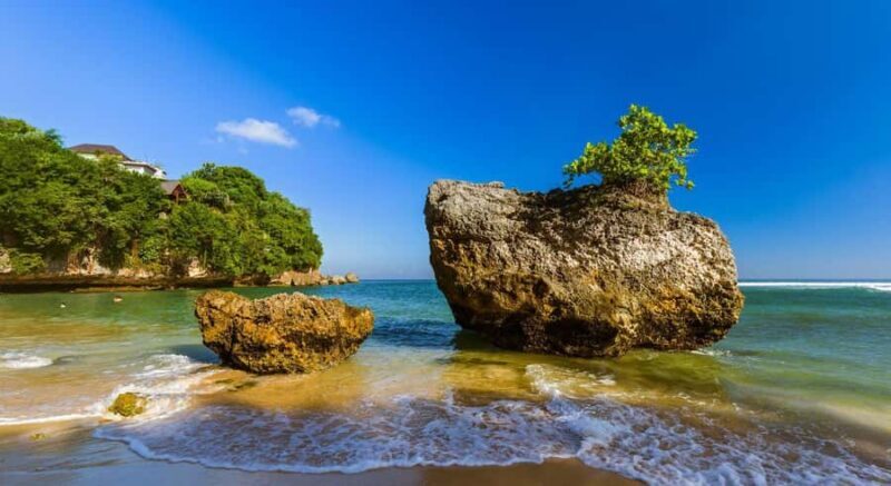 Bali: Turtle Island, Melasti Beach, Uluwatu & Jimbaran Tour - Key Points