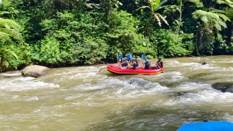 Bali Ubud Adventure: ATV Ride, Rafting & Alas Swing Day Tour - White-water rafting on the Ayung River