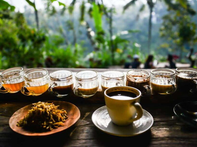 bali-ubud-adventure-swing-monkey-forest-waterfall-tour