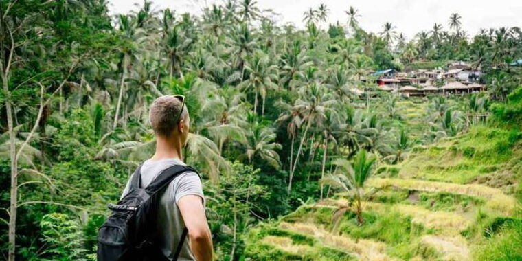 bali-ubud-and-tanah-lot-small-group-guided-tour