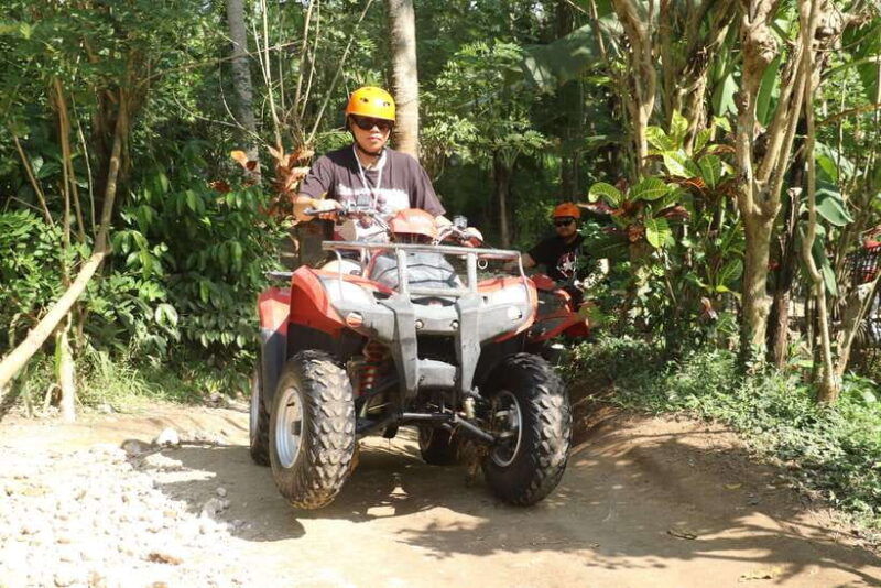 bali-ubud-atv-quad-bike-with-lunch