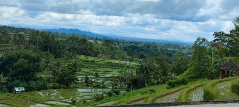 bali-ubud-costumize-tour-with-private-driver