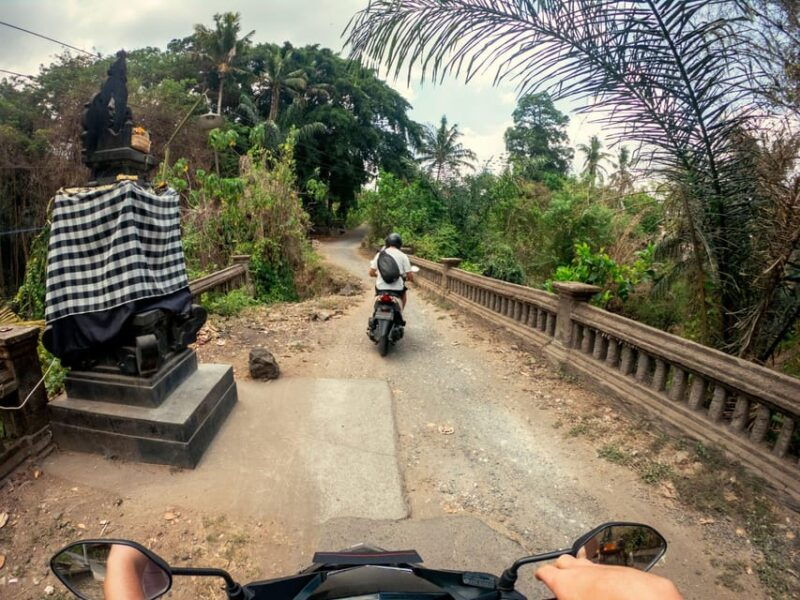 bali-ubud-countryside-ricefields-waterfall-scooter-tour
