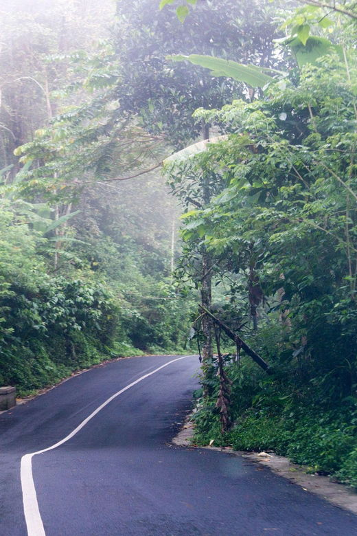 bali-ubud-countryside-ricefields-waterfall-scooter-tour