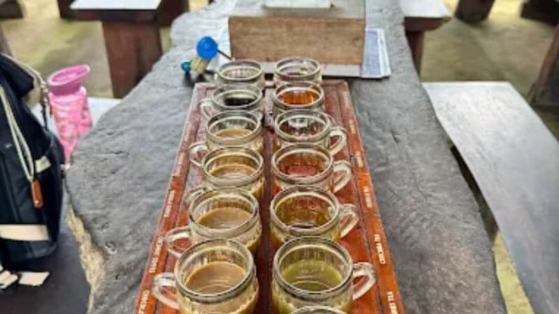 Bali: Ubud Culture and Adventure Tour with Waterfall - The Ubud Swing: An Adrenaline Rush