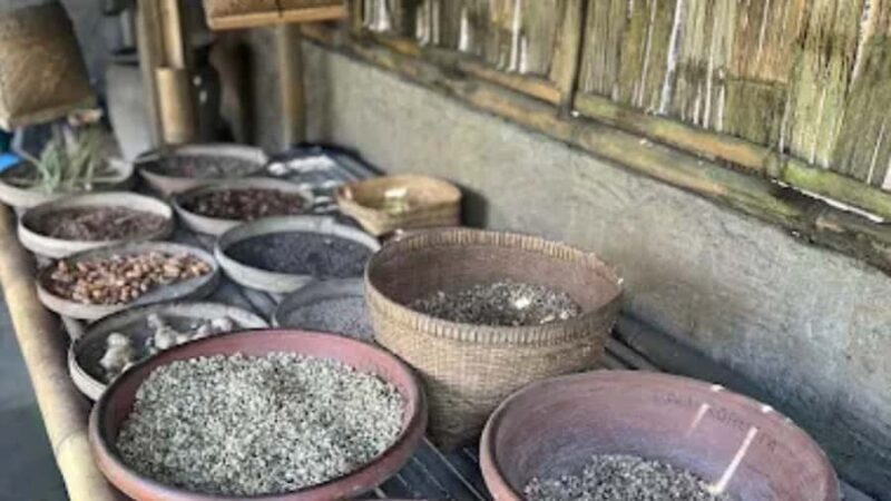 Bali: Ubud Culture and Adventure Tour with Waterfall - FAQ