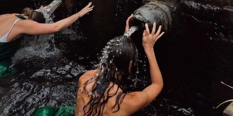 bali-ubud-culture-purification-jungle-swing-tour