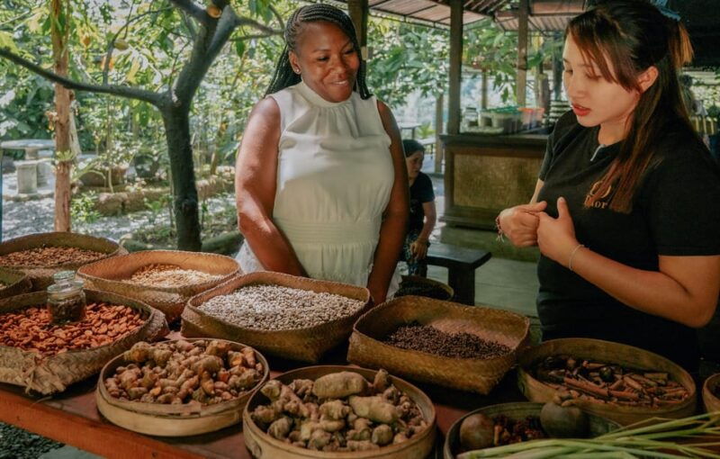 bali-ubud-culture-purification-jungle-swing-tour