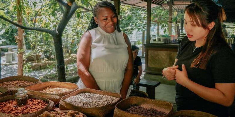 bali-ubud-culture-purification-jungle-swing-tour