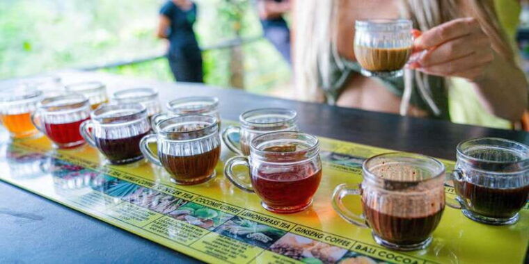 bali-ubud-culture-purification-jungle-swing-tour