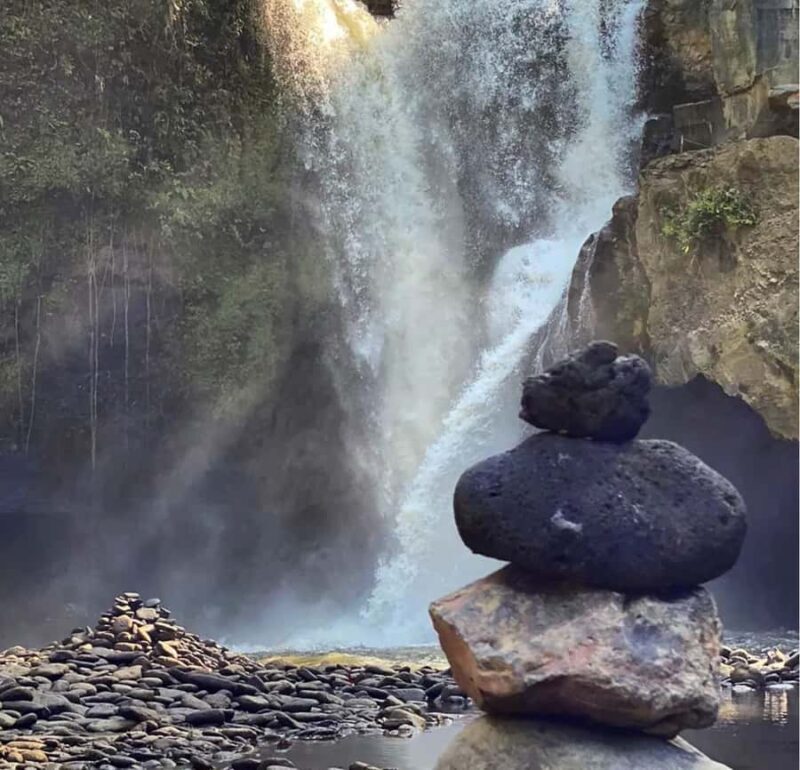 Bali; Ubud day tour all inclusive - A Deep Dive into the Ubud Day Tour Experience