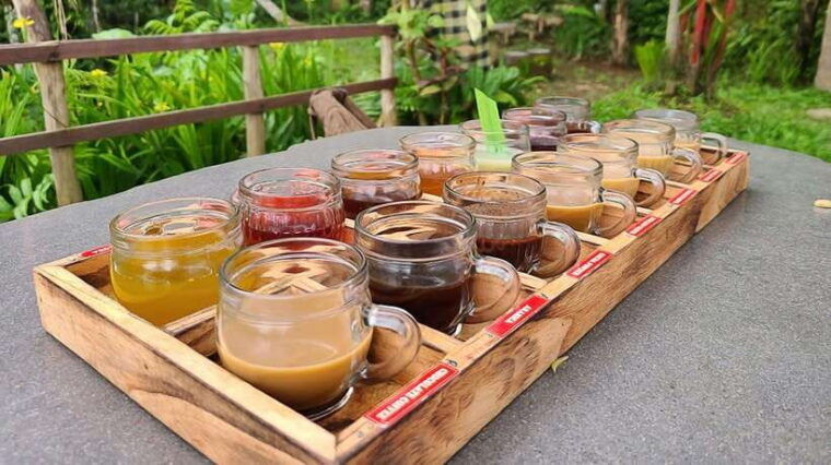 bali-ubud-day-tour-with-swing-and-zipline