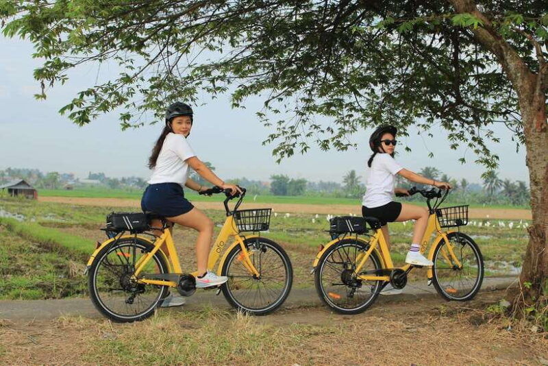 bali-ubud-e-bike-cycling-tour-with-lunch