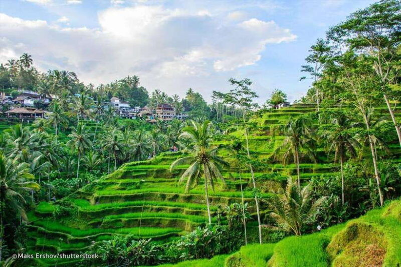 bali-ubud-e-bike-cycling-tour-with-lunch