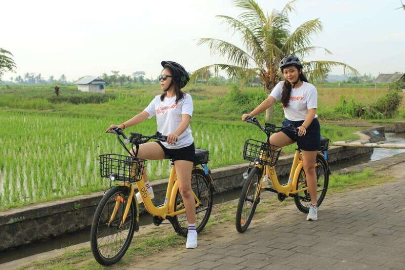 bali-ubud-e-bike-cycling-tour-with-lunch