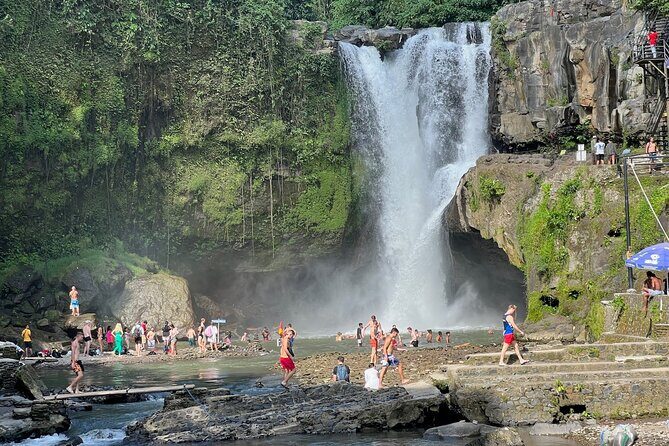 Bali Ubud Excursion from Benoa Port  All Inclusive Private Tour - Who Is This Tour Best For?