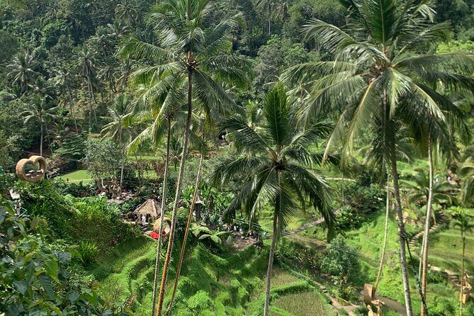 Bali Ubud : Full or Half Day Private Adventure Tour - Key Points