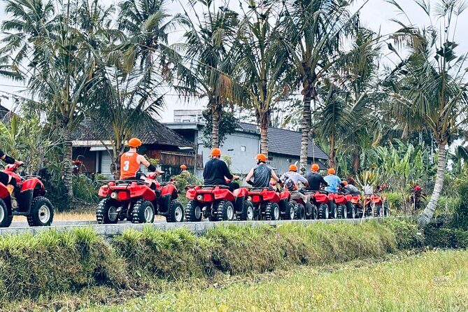 Bali: Ubud Gorilla ATV Adventure & Cretya Infinity Pool Tour - Experience Highlights from Reviews