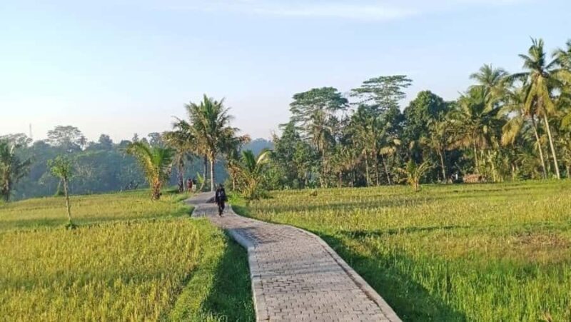Bali: Ubud Highlight Tour With Flexible Itinerary Options - An In-Depth Look at the Ubud Highlight Tour