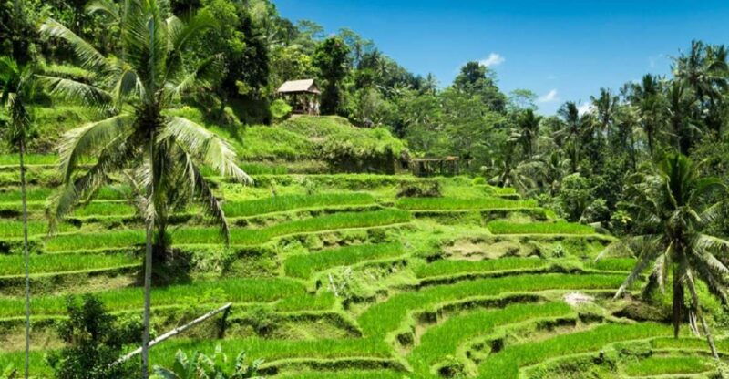 bali-ubud-highlights-tour-uluwatu-temple-with-kecak-dance