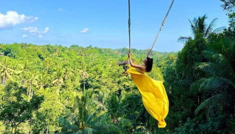 Bali: Ubud, Monkey Forest, Ancient Temple, Waterfalls - The Sum Up