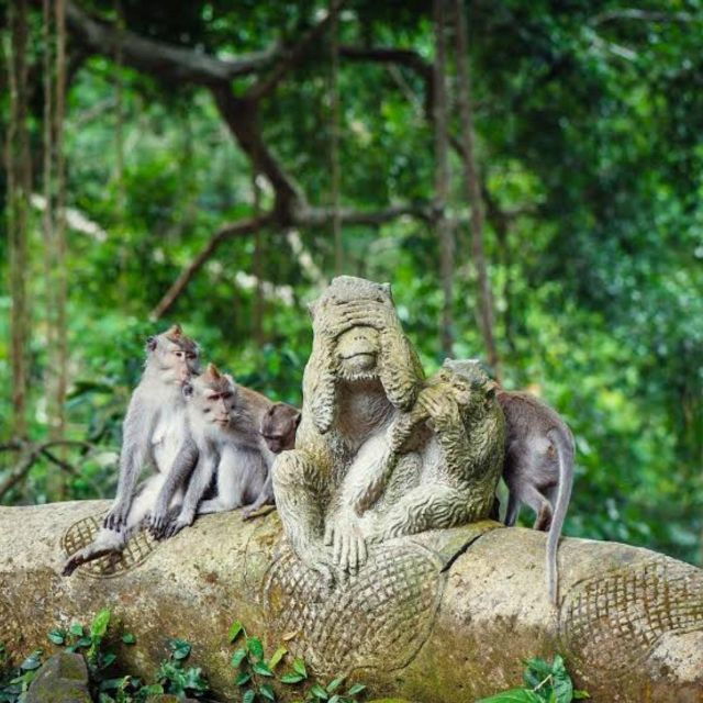 bali-ubud-monkey-forest-waterfall-temple