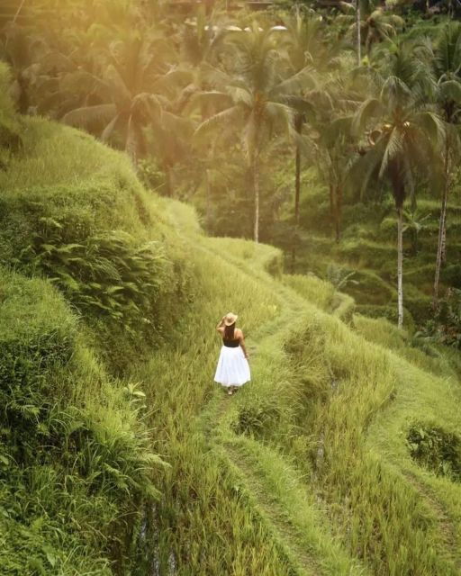 bali-ubud-monkey-forest-waterfall-temple