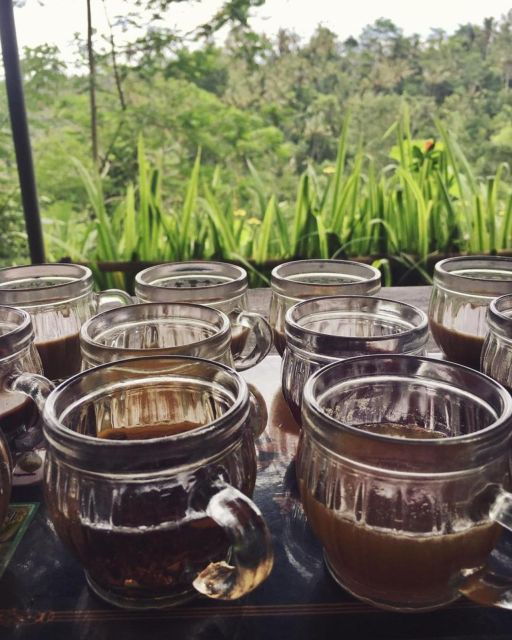 bali-ubud-monkey-forest-waterfall-temple