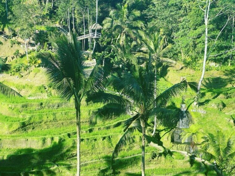 bali-ubud-monkey-forest-waterfall-temple