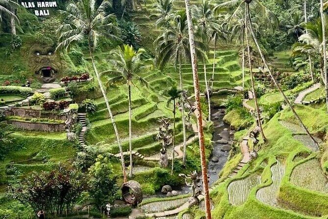 Bali Ubud Private Costomized Tour - Explore Bali your way - Summary