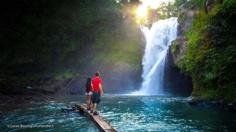 bali-ubud-private-tour-with-waterfall-forest-rice-field