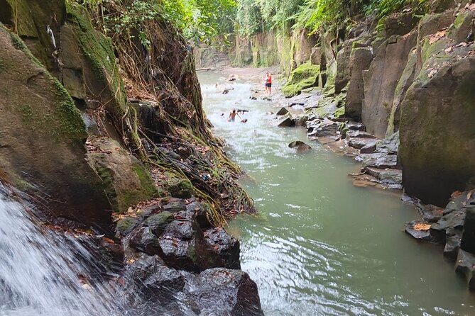 Bali: Ubud Rice terrace, water temple, and waterfall Tour - Who Will Love This Tour?