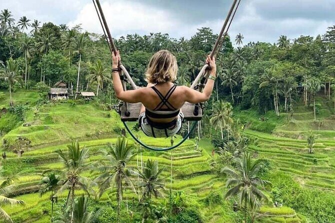 Bali: Ubud Rice terrace, water temple, and waterfall Tour - The Sum Up