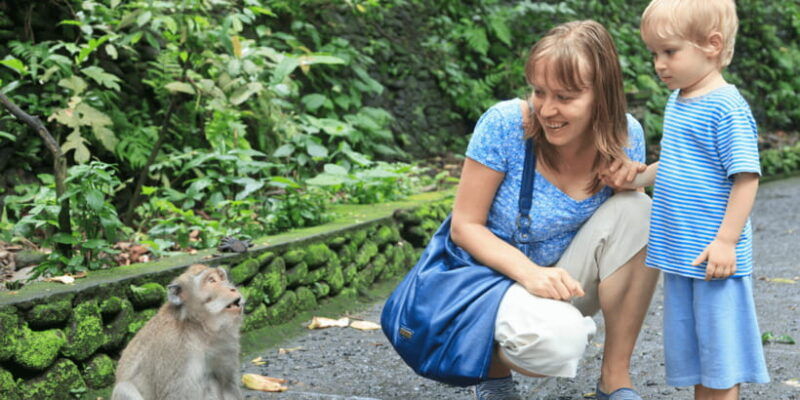 bali-ubud-rice-terraces-monkey-forest-waterfall-tour