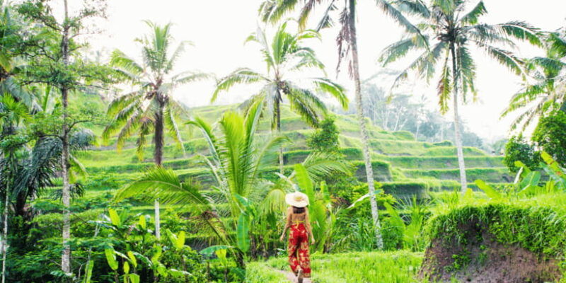 bali-ubud-rice-terraces-monkey-forest-waterfall-tour