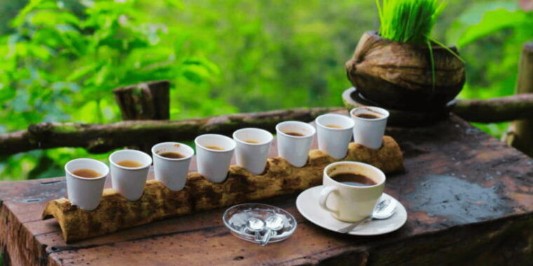 bali-ubud-rice-terraces-monkey-forest-waterfall-tour